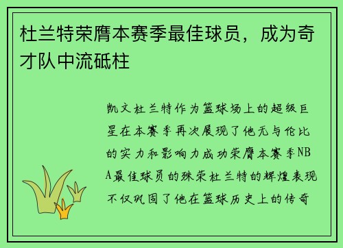 杜兰特荣膺本赛季最佳球员，成为奇才队中流砥柱
