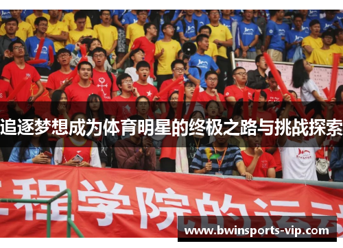 追逐梦想成为体育明星的终极之路与挑战探索